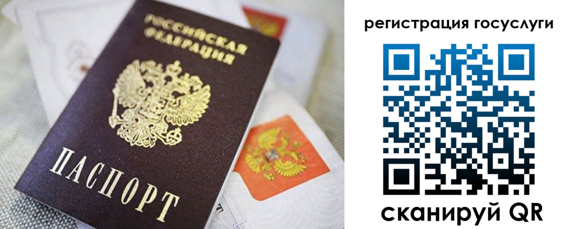 прописка паспорт в Железногорске